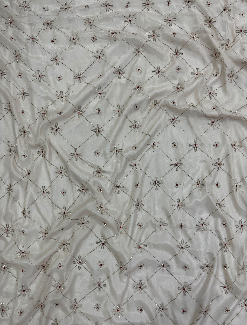 Beige Sheer Organza Saree with Crystal Cutwork Border & Ruby Accents
