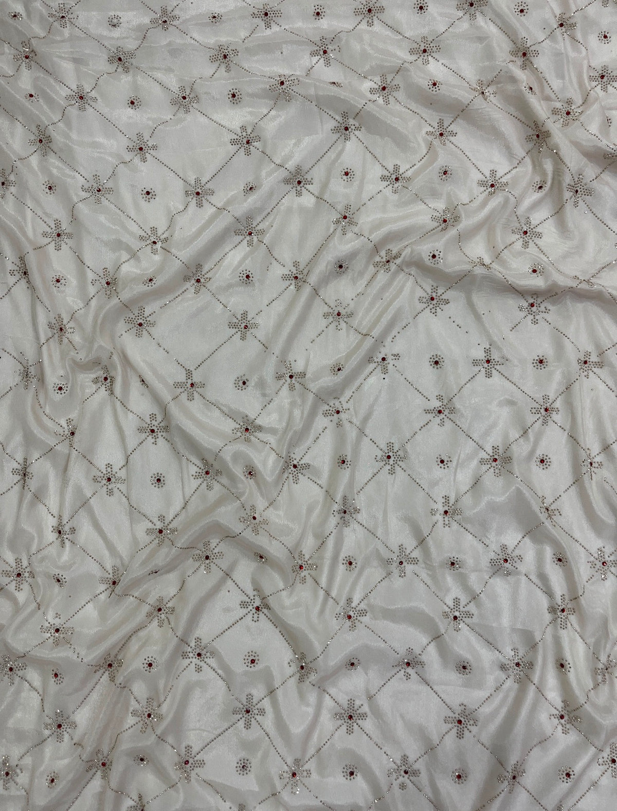 Beige Sheer Organza Saree with Crystal Cutwork Border & Ruby Accents