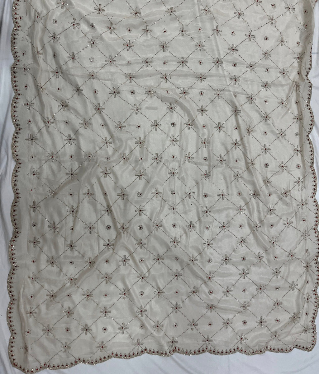 Beige Sheer Organza Saree with Crystal Cutwork Border & Ruby Accents