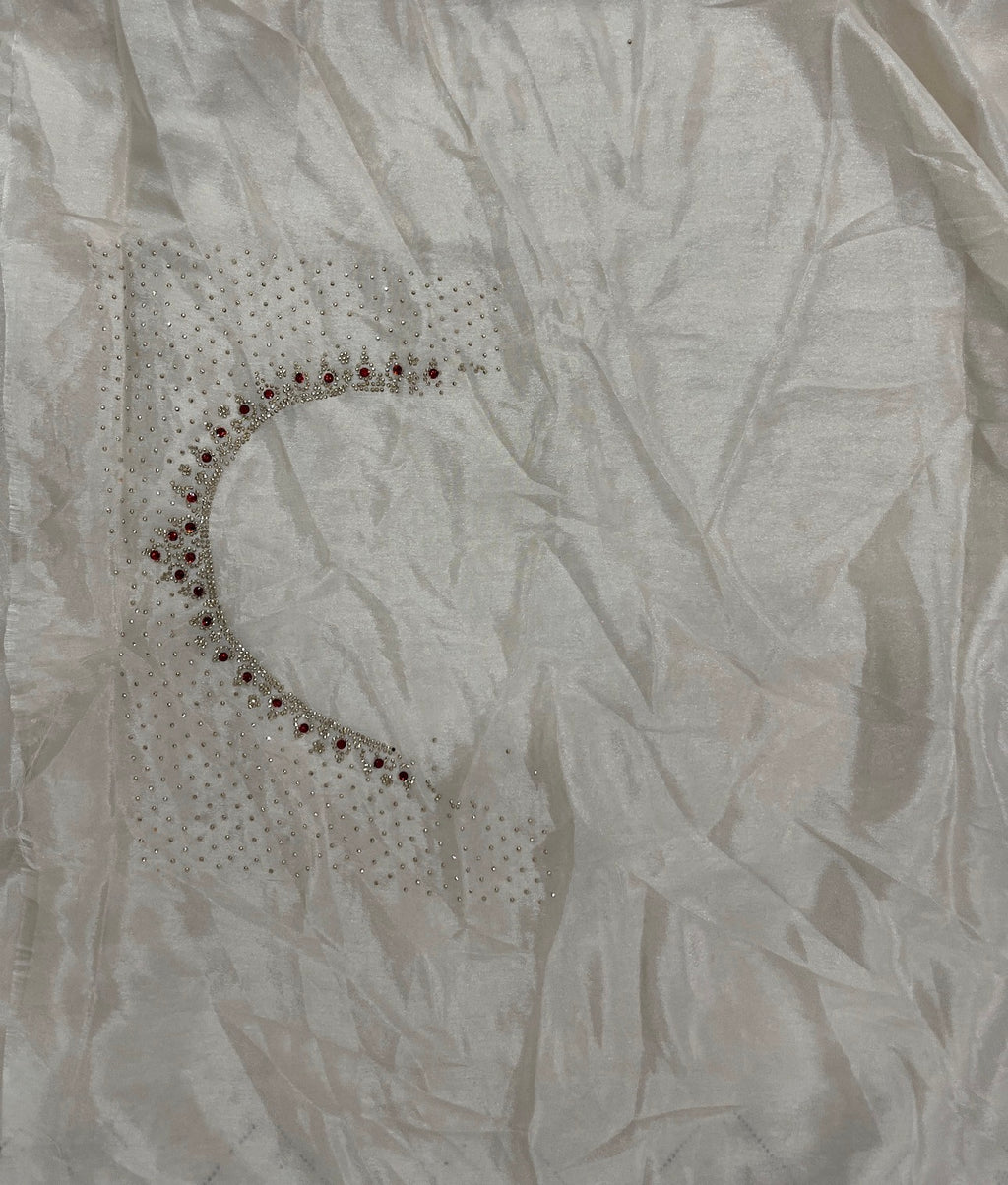Beige Sheer Organza Saree with Crystal Cutwork Border & Ruby Accents