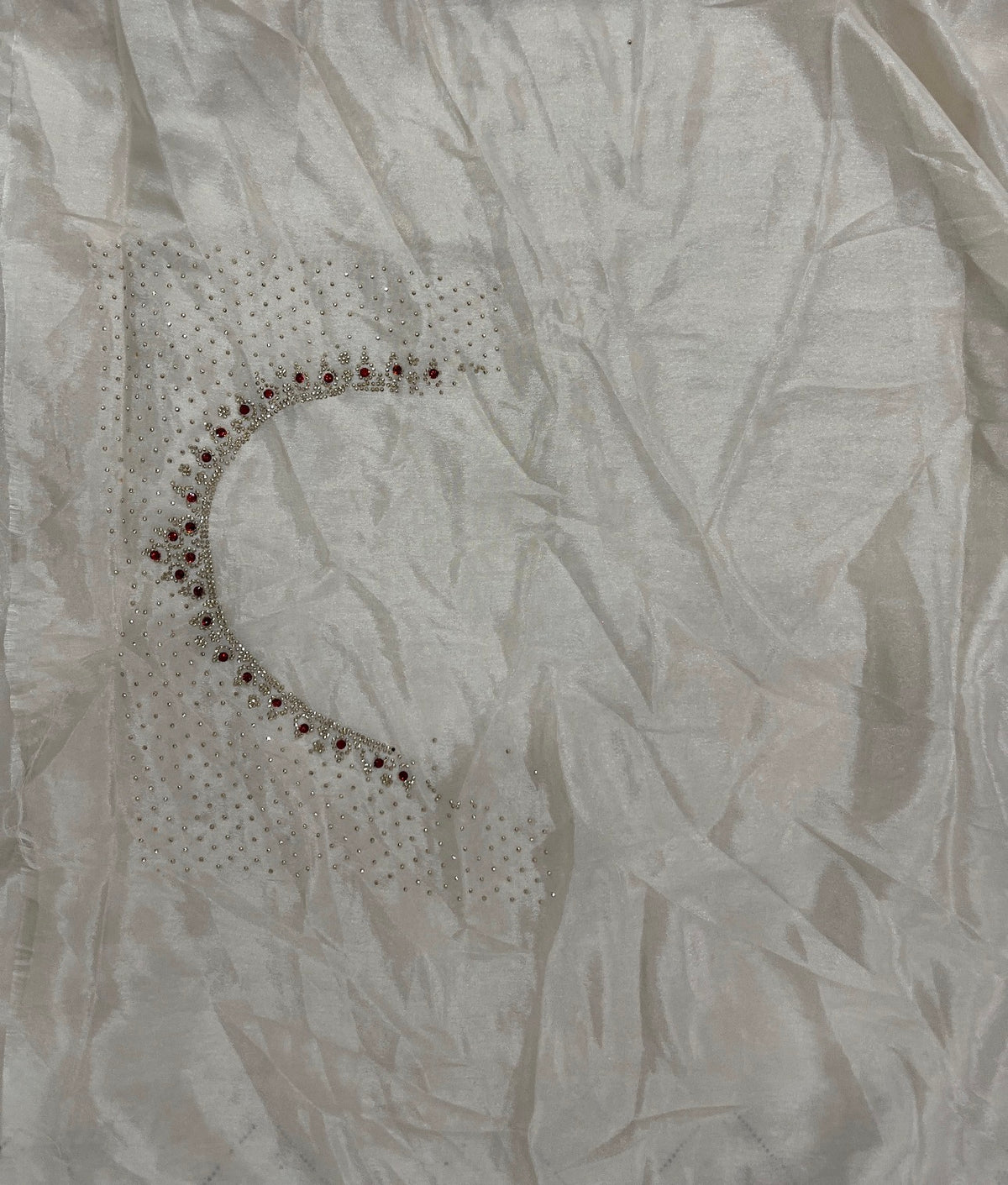 Beige Sheer Organza Saree with Crystal Cutwork Border & Ruby Accents