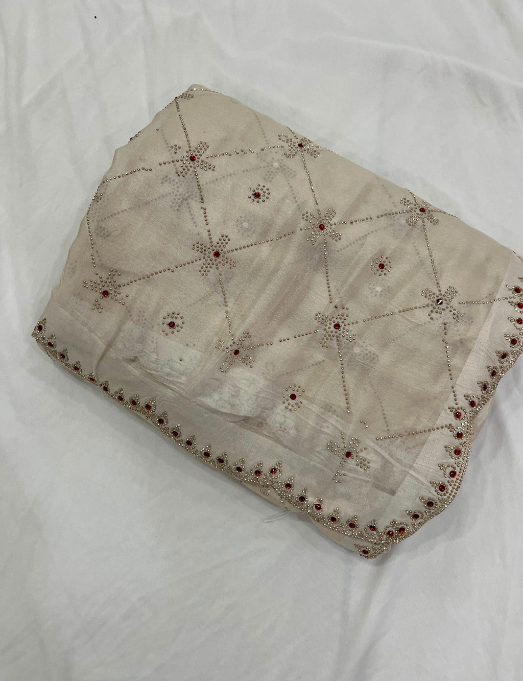 Beige Sheer Organza Saree with Crystal Cutwork Border & Ruby Accents