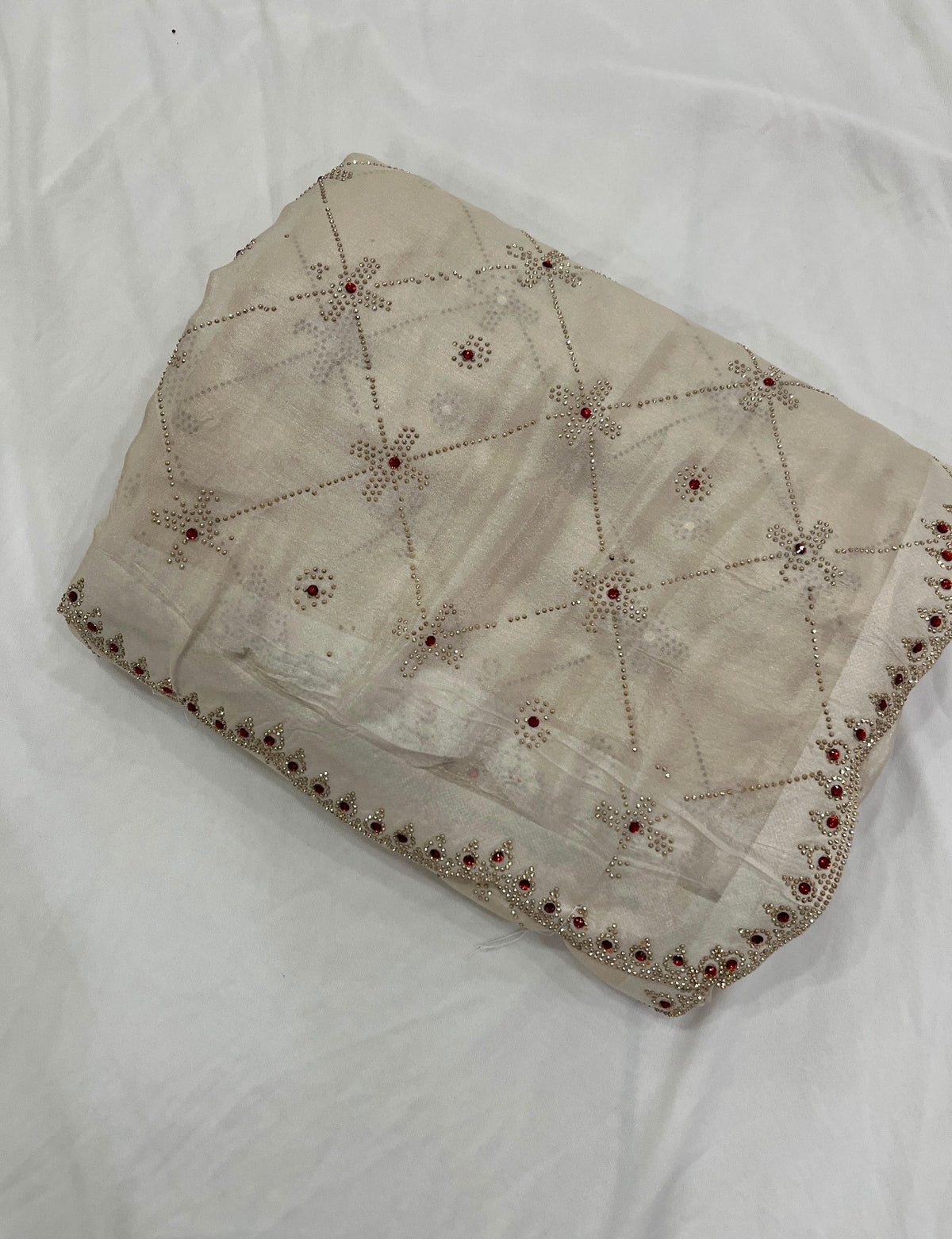 Beige Sheer Organza Saree with Crystal Cutwork Border & Ruby Accents