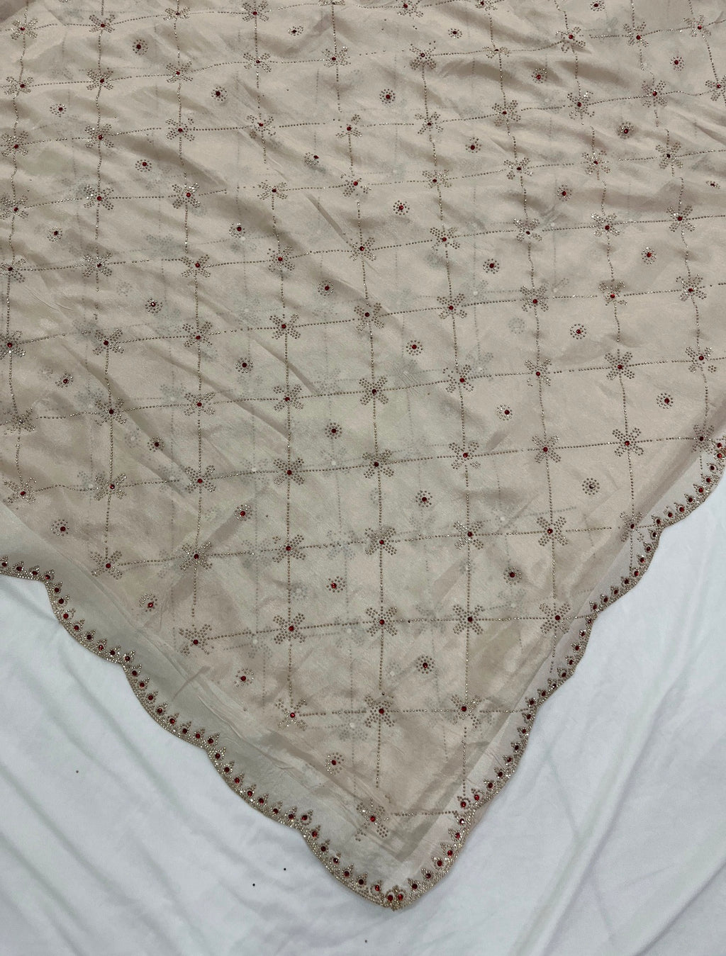 Beige Sheer Organza Saree with Crystal Cutwork Border & Ruby Accents