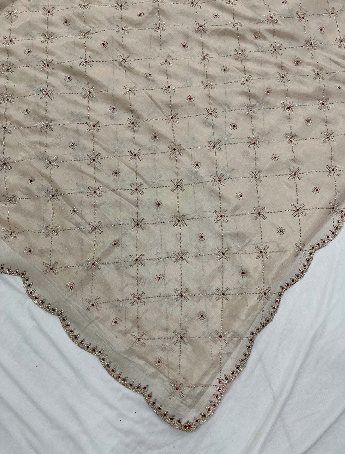Beige Sheer Organza Saree with Crystal Cutwork Border & Ruby Accents